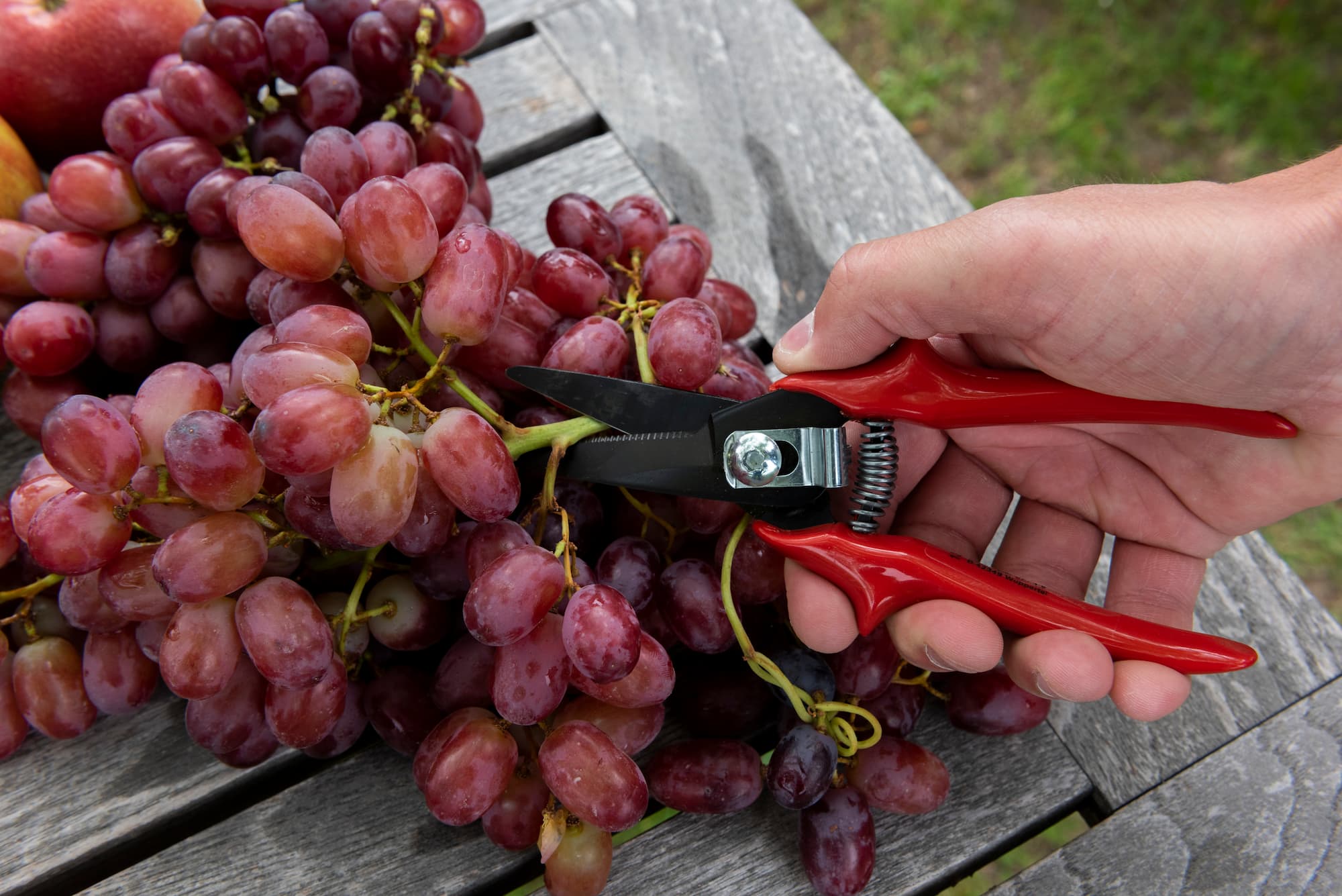 Mehrzweckschere 1300 | Spezialzahnung | Aus Hochleistungsstahl - Julius Berger GmbH & Co. KG