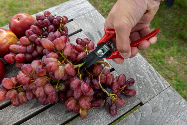 Mehrzweckschere 1300 | Spezialzahnung | Aus Hochleistungsstahl - Julius Berger GmbH & Co. KG