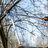Astschere C4255 | Korkgriff |Amboss Profi 80 cm | Mit Reißhaken