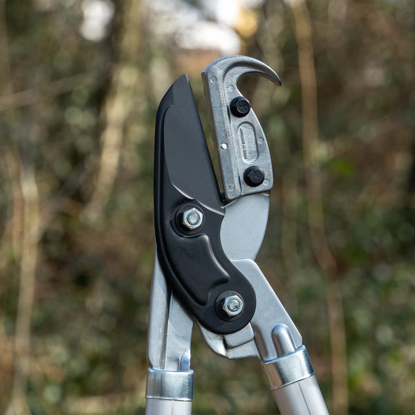 Astschere C4255 | Korkgriff |Amboss Profi 80 cm | Mit Reißhaken