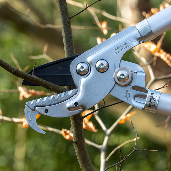 Astschere C4255 | Korkgriff |Amboss Profi 80 cm | Mit Reißhaken