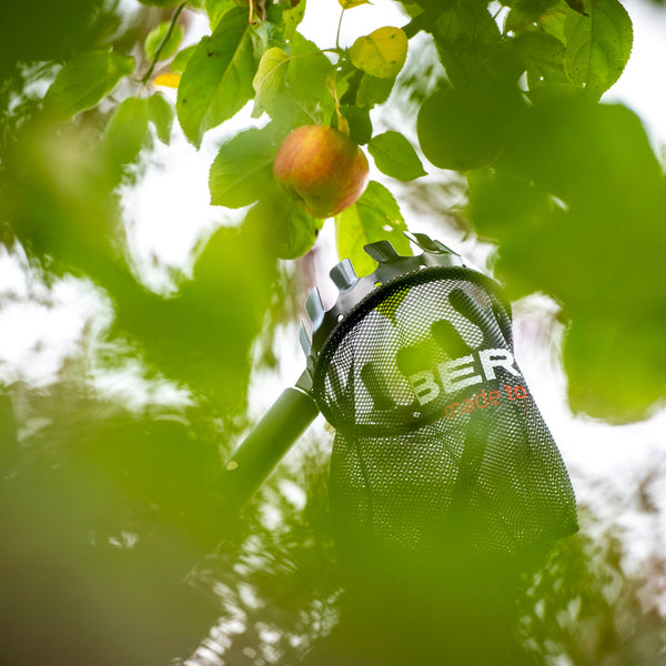 BERGER Set 75204 | Consisting of telescopic pole 75200 &amp; fruit picker 5440