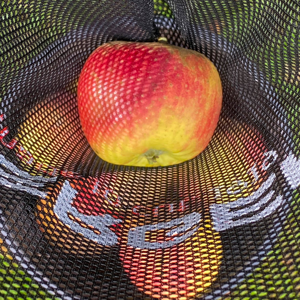 BERGER Set 75204 | Consisting of telescopic pole 75200 &amp; fruit picker 5440