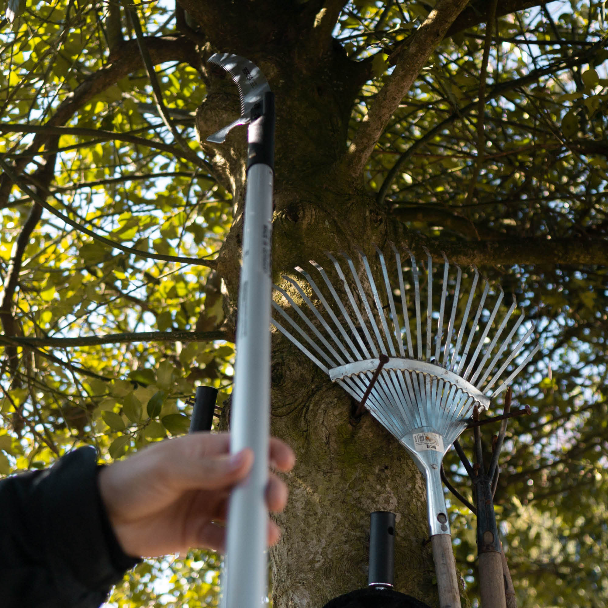 Berger Set 75208 | Consisting of telescopic pole 75200, attachment saw 63812, and saw sheath 5129