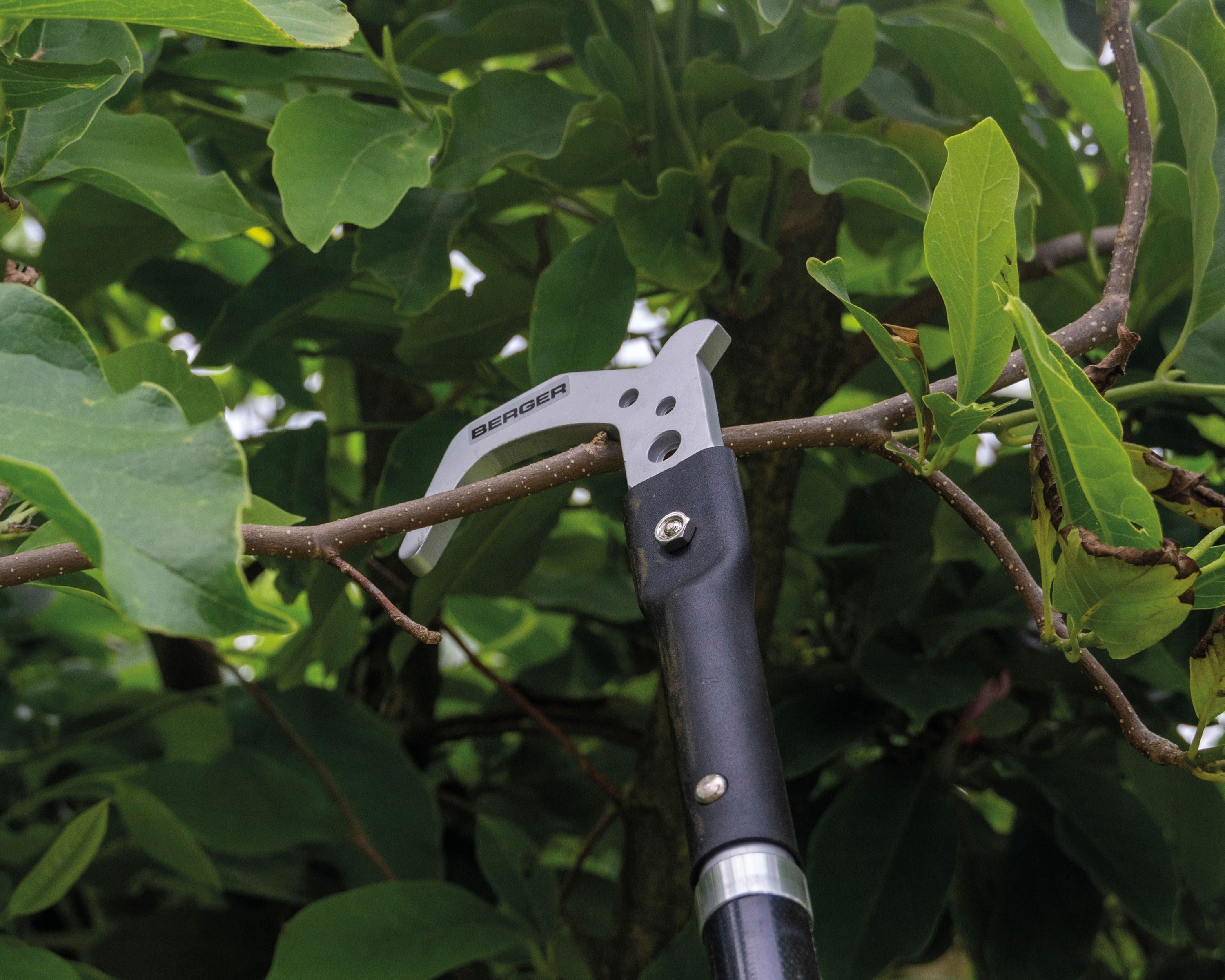 ArboRapid Universalhaken 5487 | Teleskopstangenaufsatz - Julius Berger GmbH & Co. KG