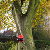 Berger ArboRapid 75300 | Zweiteilige Teleskopstange | Länge 1,75 - 3,20 m - Julius Berger GmbH & Co. KG