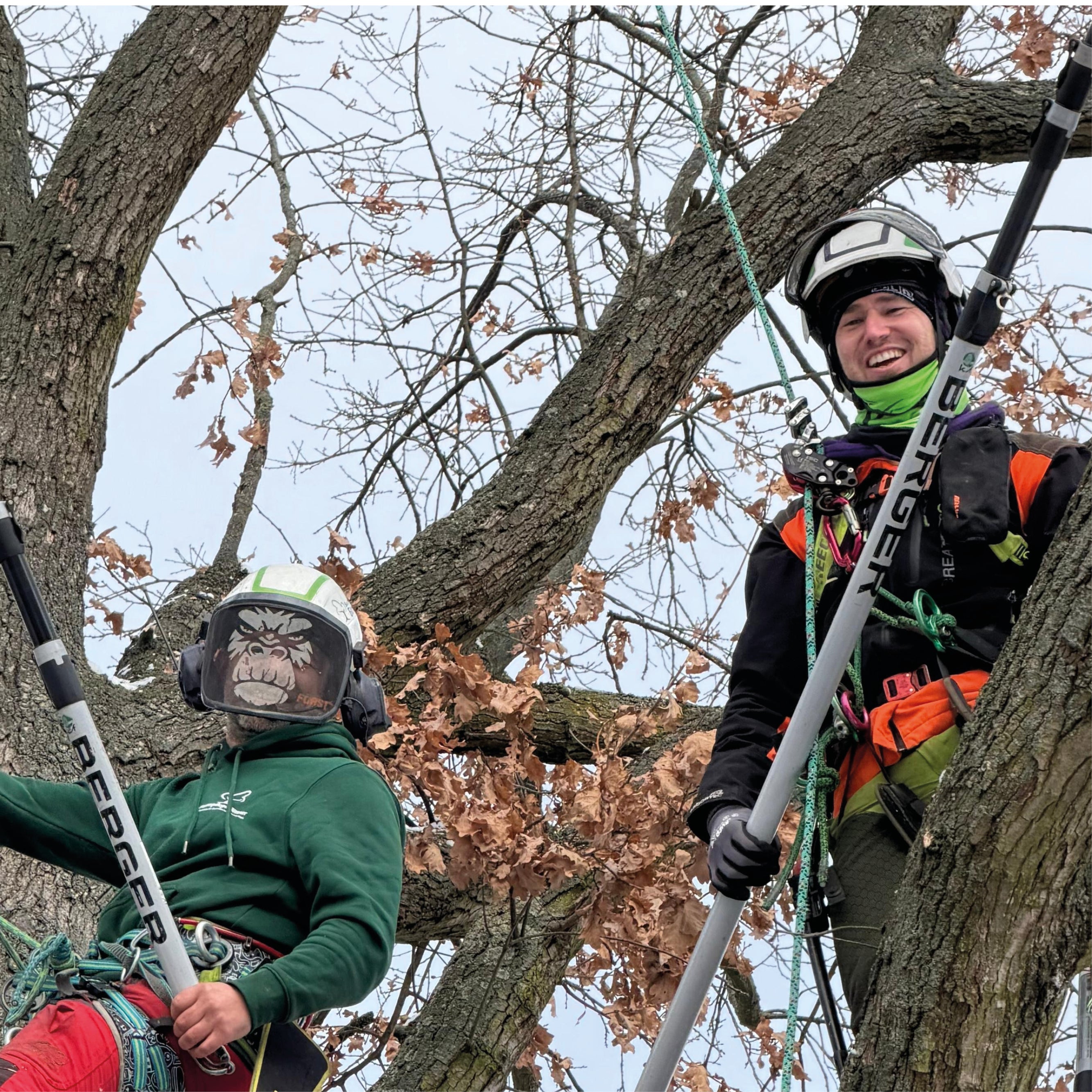 BERGER ArboRapid Ultra Light | 76004 | Grau/Schwarz | 4-teilig ausziehbare Teleskopstange, 3 Carbon- und 1 Glasfaserrohr „GFK