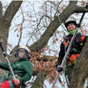 BERGER ArboRapid Ultra Light | 76004 | Grau/Schwarz | 4-teilig ausziehbare Teleskopstange, 3 Carbon- und 1 Glasfaserrohr „GFK" - Julius Berger GmbH & Co. KG