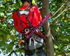 BERGER ArboRapid PINKtober Kletterstange | 76076 | 4-teilige Carbon-Teleskopstange | Länge 1,15–3,65 m | Easy-Click System | PINKtober Special Edition - Julius Berger GmbH & Co. KG