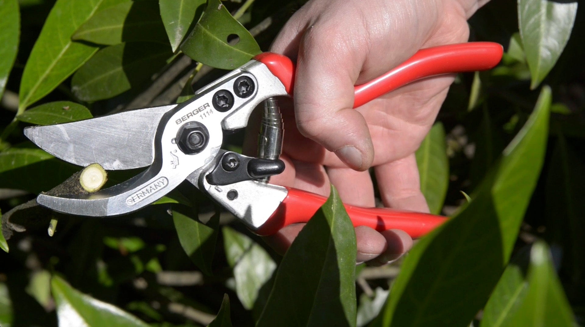 BERGER Handschere 1114 schneidet einen dünnen Ast im Garten
