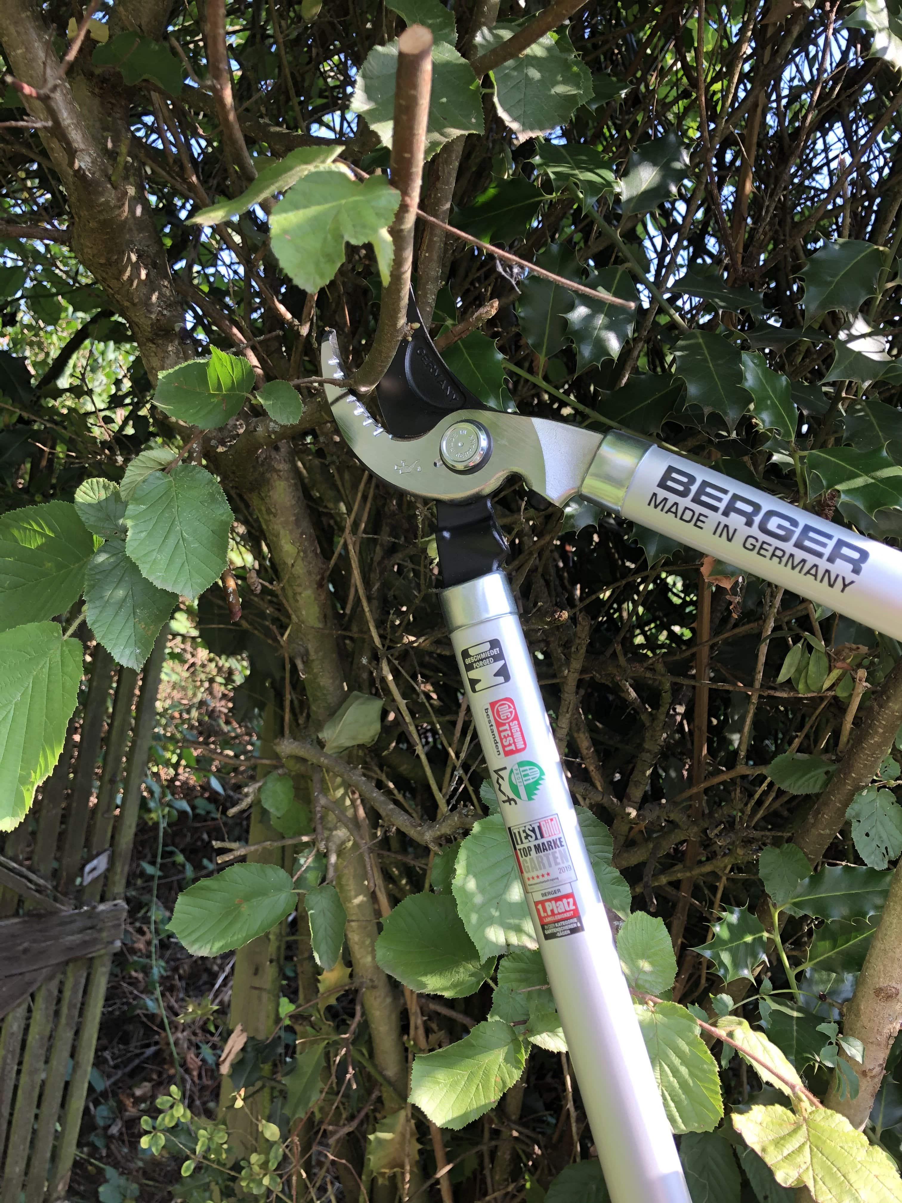 Astschere Bypass Klassik 4200 schneidet einen Ast