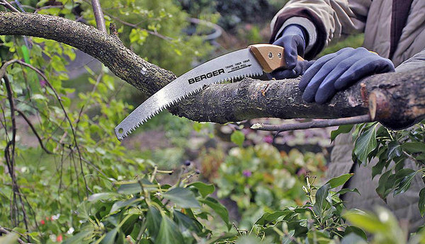Astsäge mit Holzgriff  Nummer 61512 sägt einen Ast durch