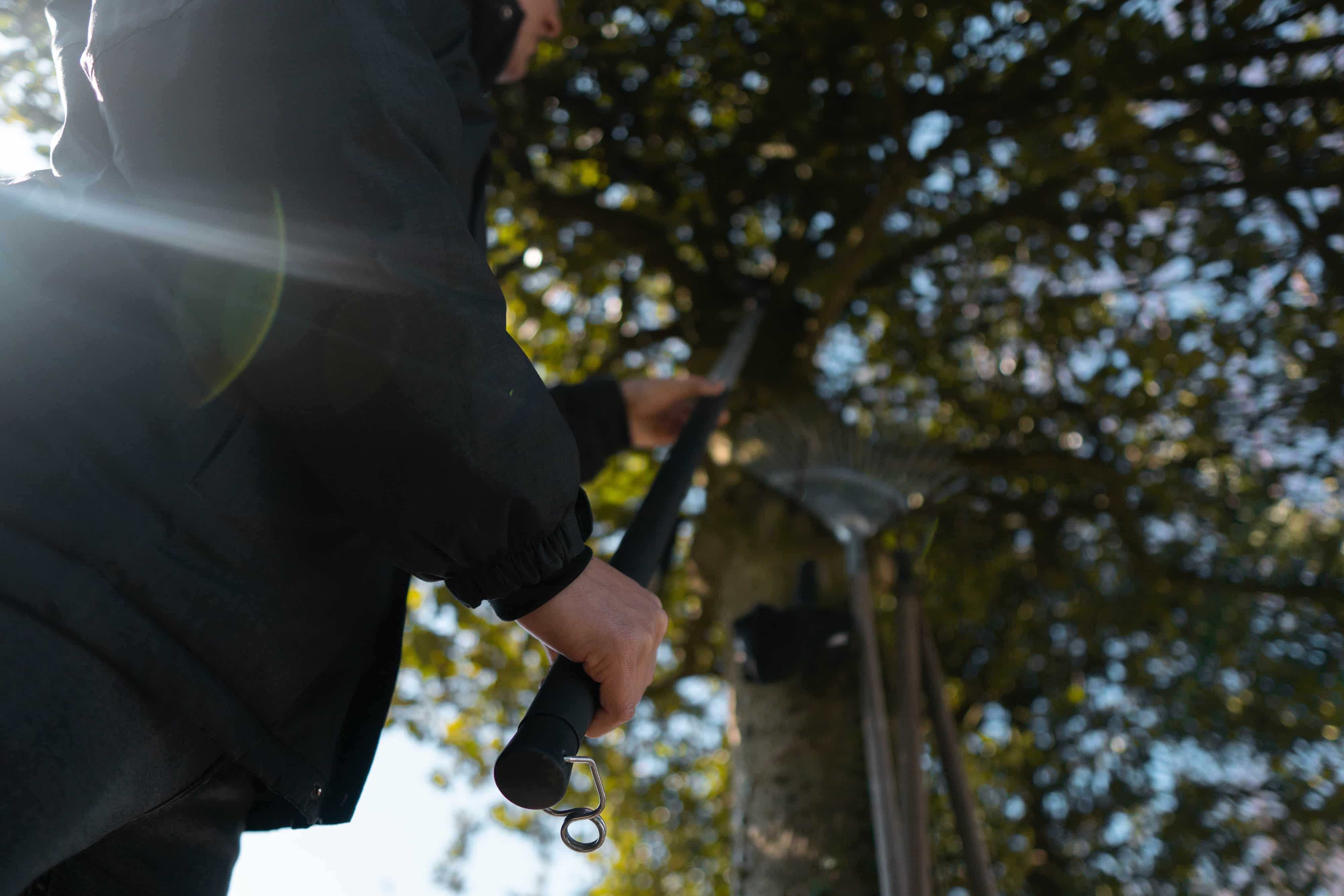 Berger einteilige Teleskopstange 75200 bei der Anwendung zum Baumschnitt